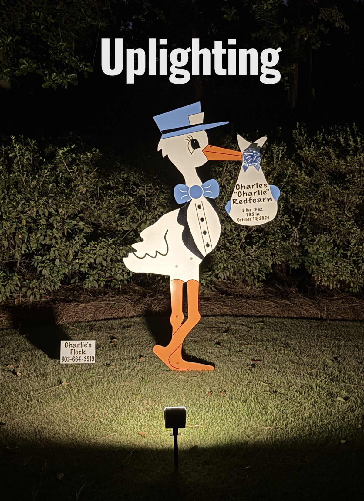 Baby Shower/Gender Reveal /Sip & See Stork Yard Sign Rental - Image 2
