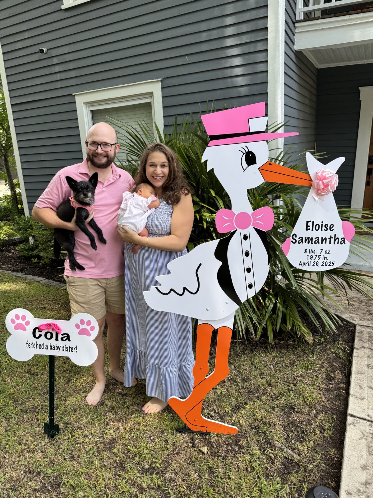 Preorder Standard Stork Yard Sign Rental