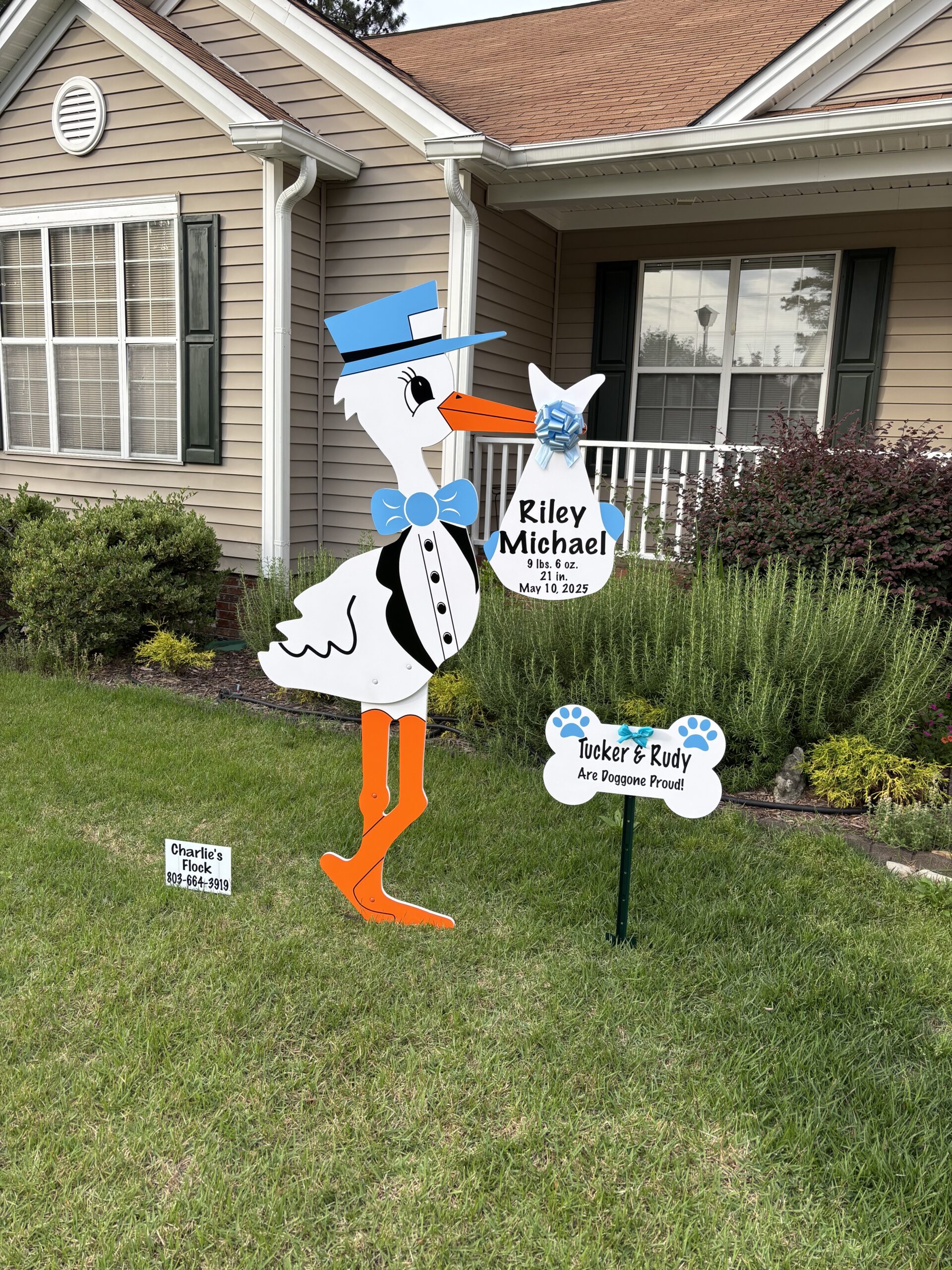 Fall Babies Are on the Way! 🍂🧡 Pre-Order Your Stork in Columbia, SC Today!