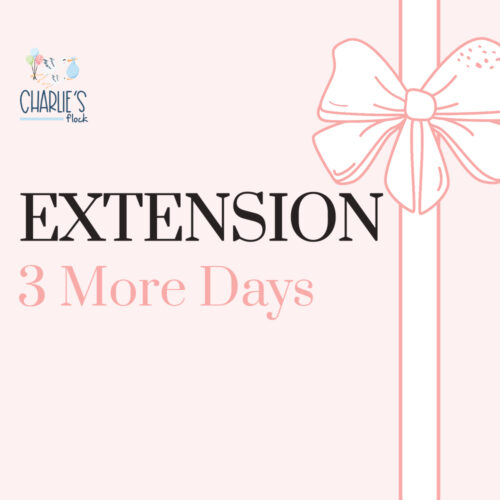 Rental Extension 3 Days