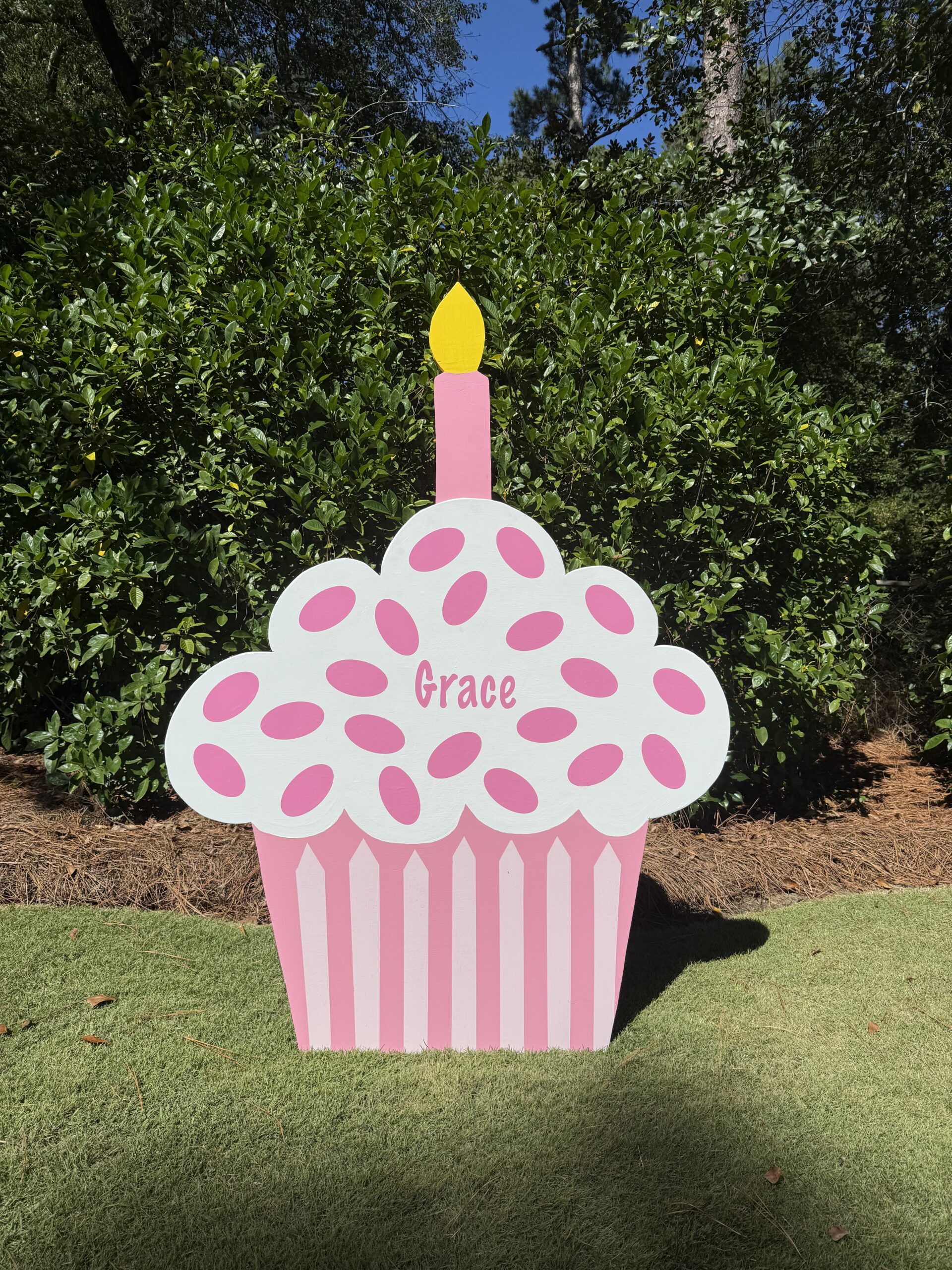 Make Their Birthday Extra Sweet with Cupcake Yard Sign Rentals from Charlie’s Flock in Columbia, SC!