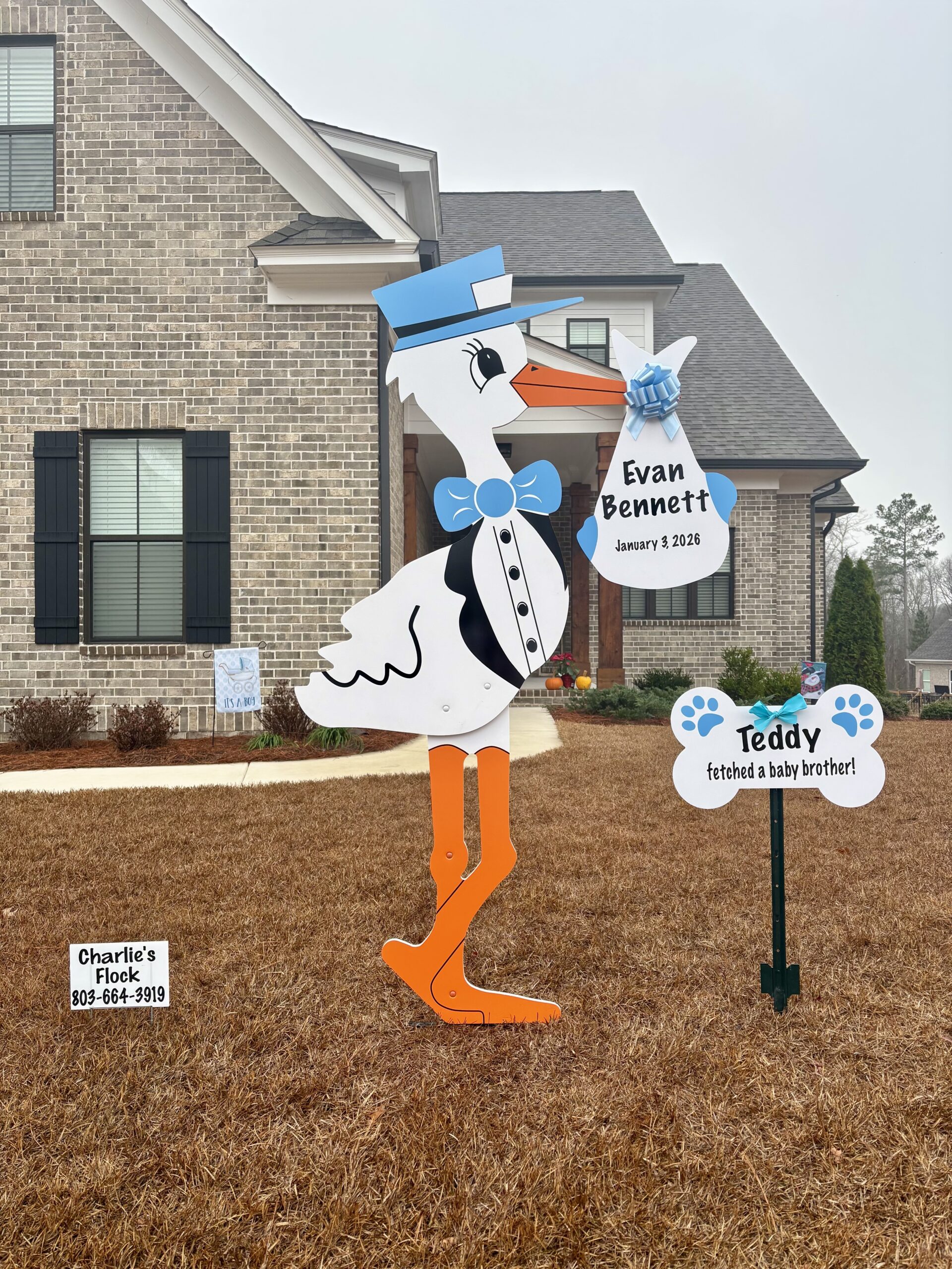 Baby due date in 2026? Pre-order your stork sign rental in Columbia, SC today!