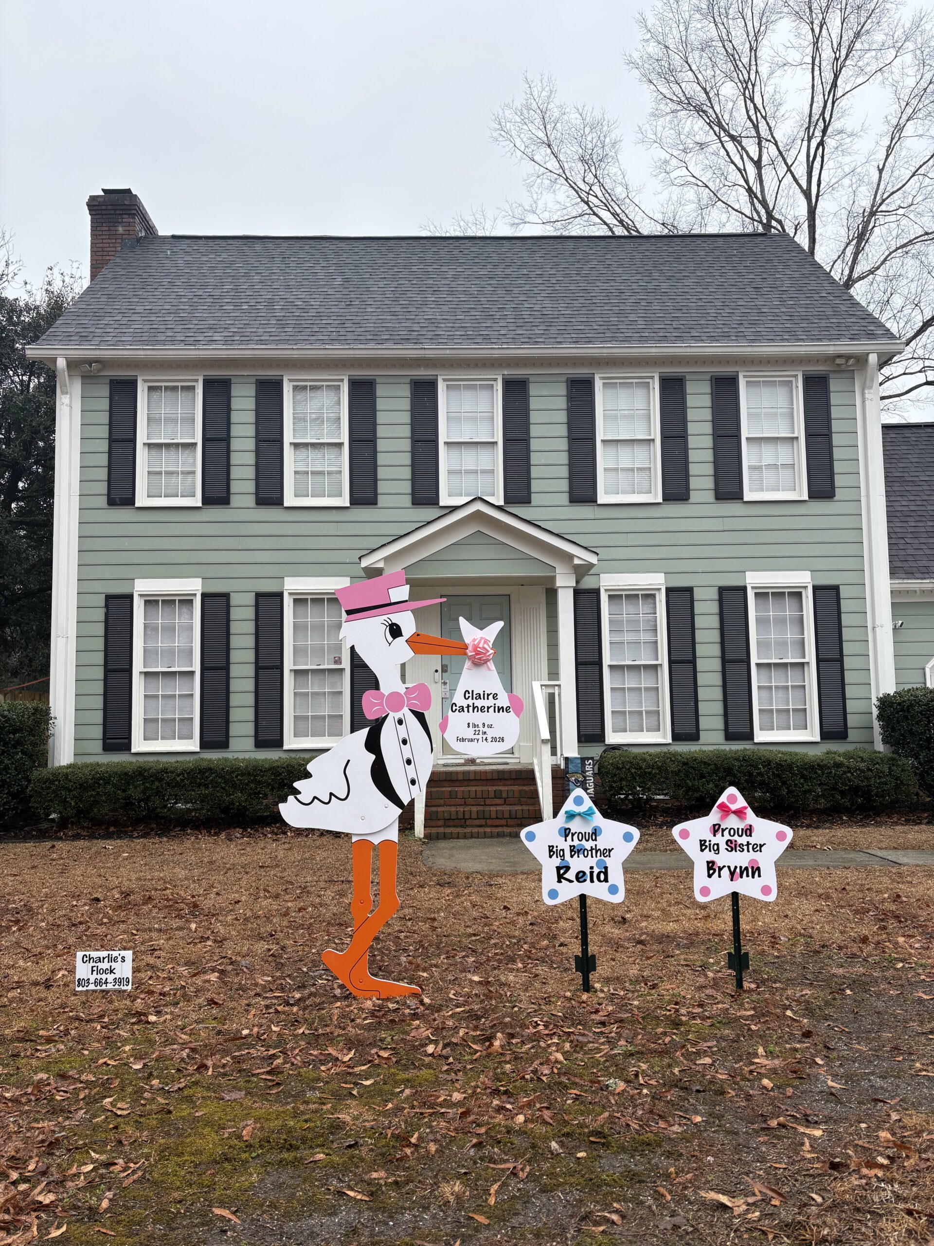 Valentine’s Day Stork Yard Sign Delivery in Columbia, SC